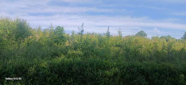 15 Acres of Land for Sale in Englewood, Tennessee