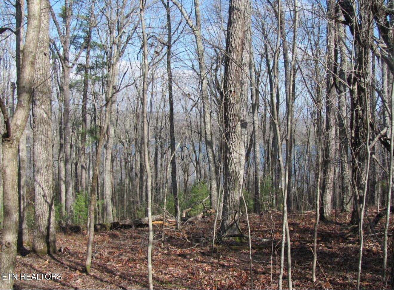 0.25 Acres of Residential Land for Sale in Crossville, Tennessee