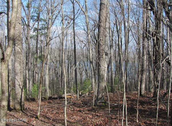 0.25 Acres of Residential Land for Sale in Crossville, Tennessee