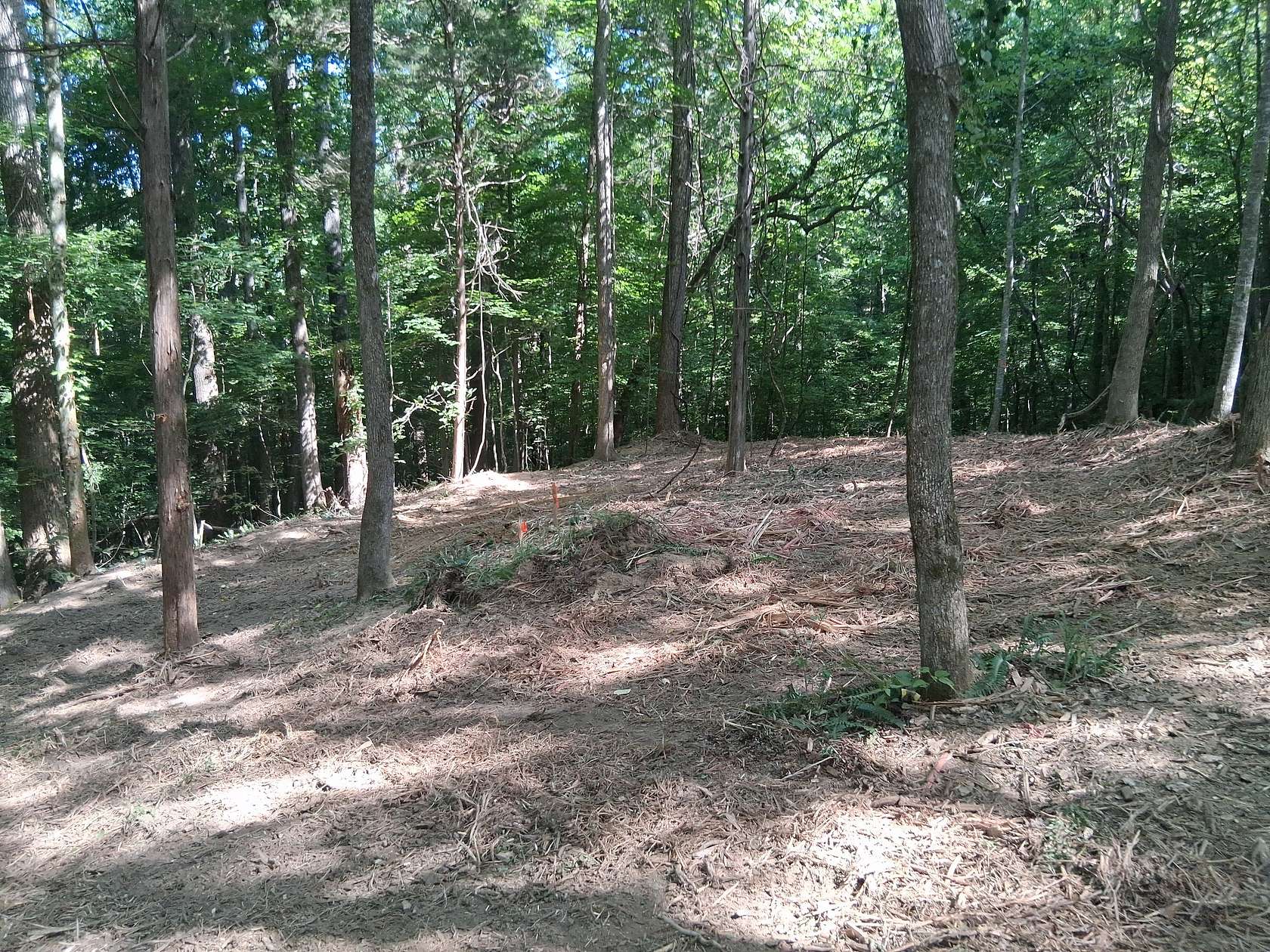 0.71 Acres of Residential Land for Sale in Smithville, Tennessee