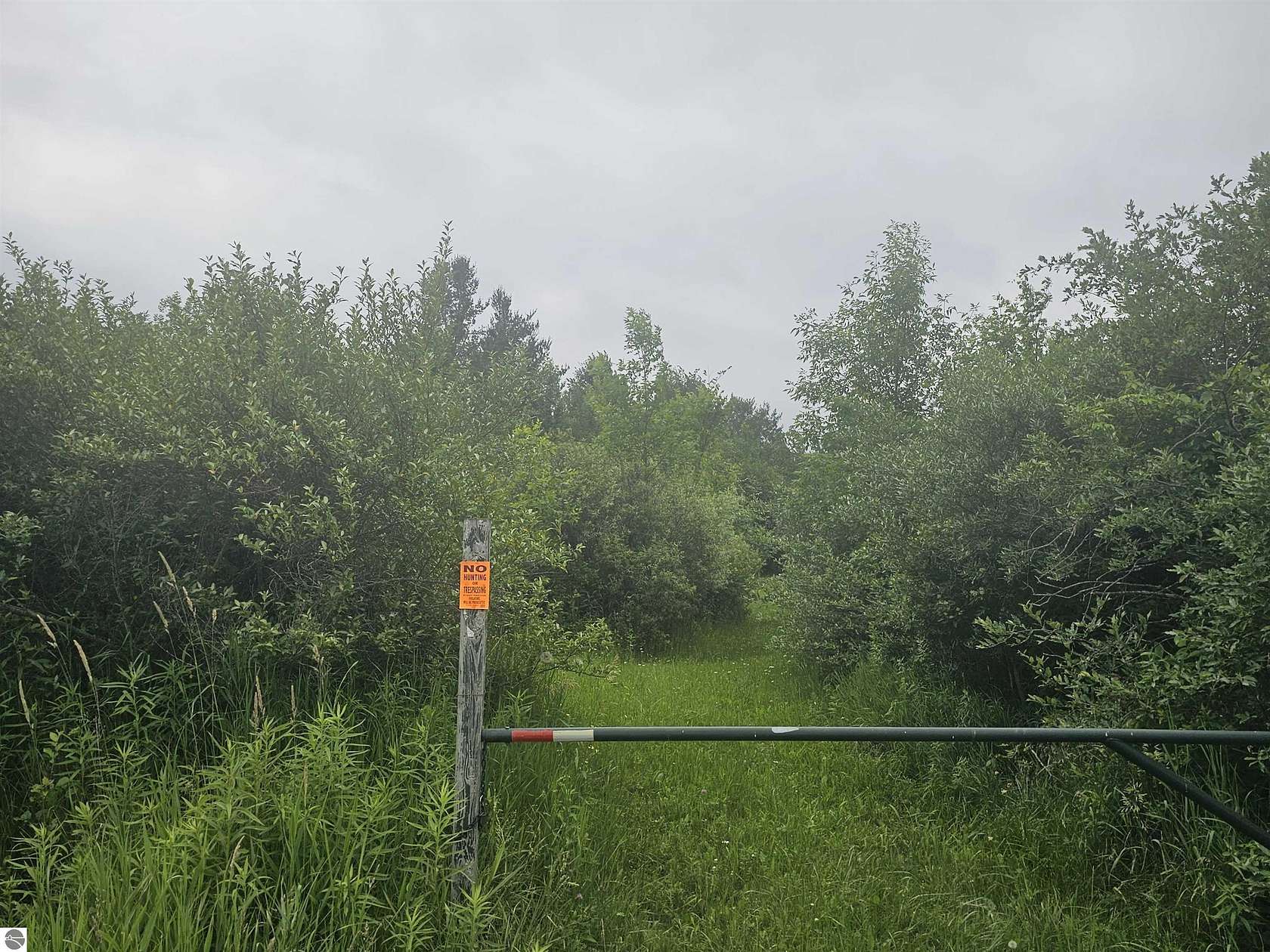 39.3 Acres of Recreational & Residential Land for Sale in Hale, Michigan