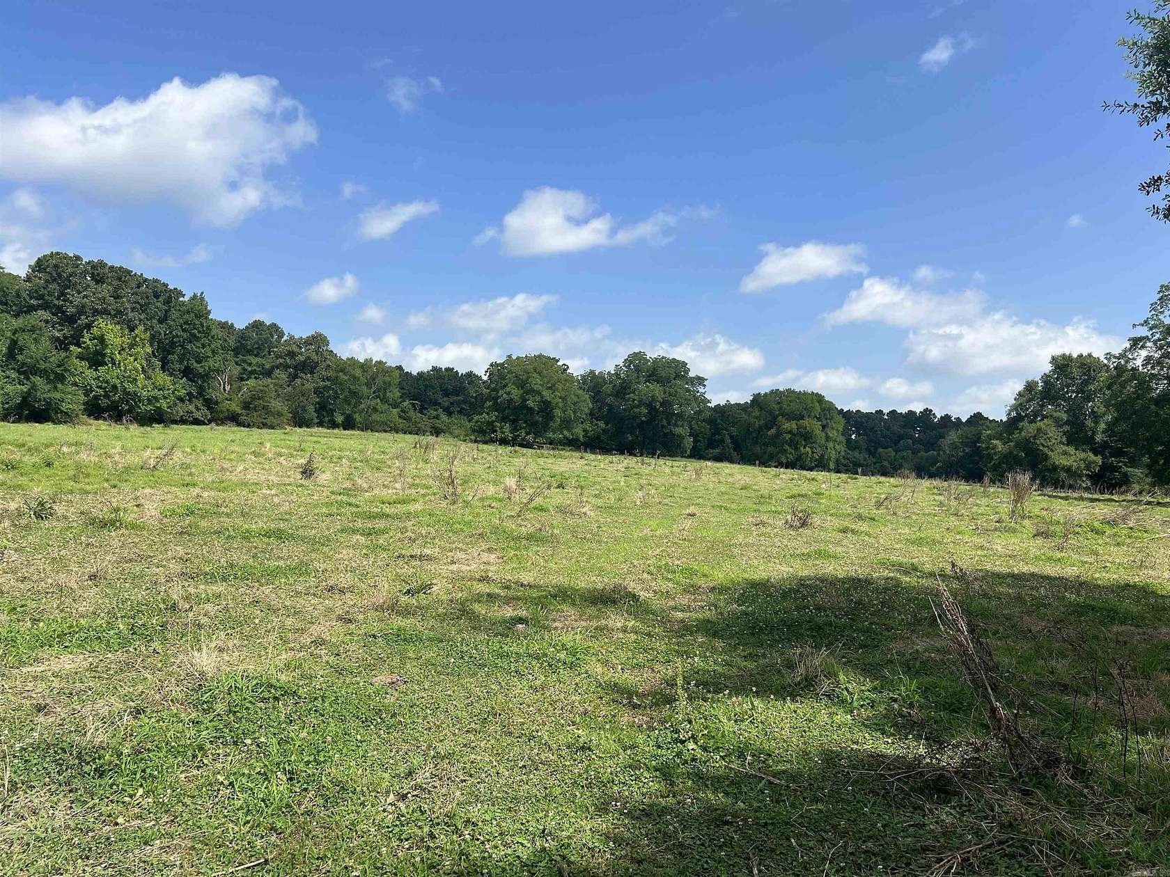 55 Acres of Land for Sale in De Queen, Arkansas