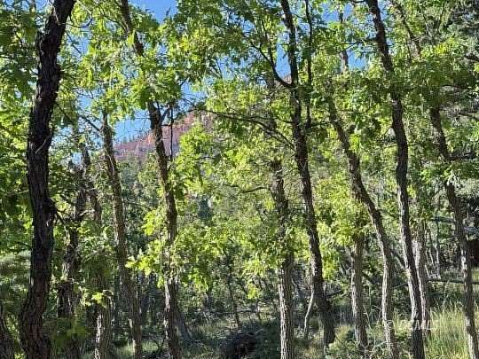 0.49 Acres of Residential Land for Sale in Duck Creek Village, Utah