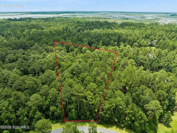 1.33 Acres of Residential Land for Sale in Woodbine, Georgia