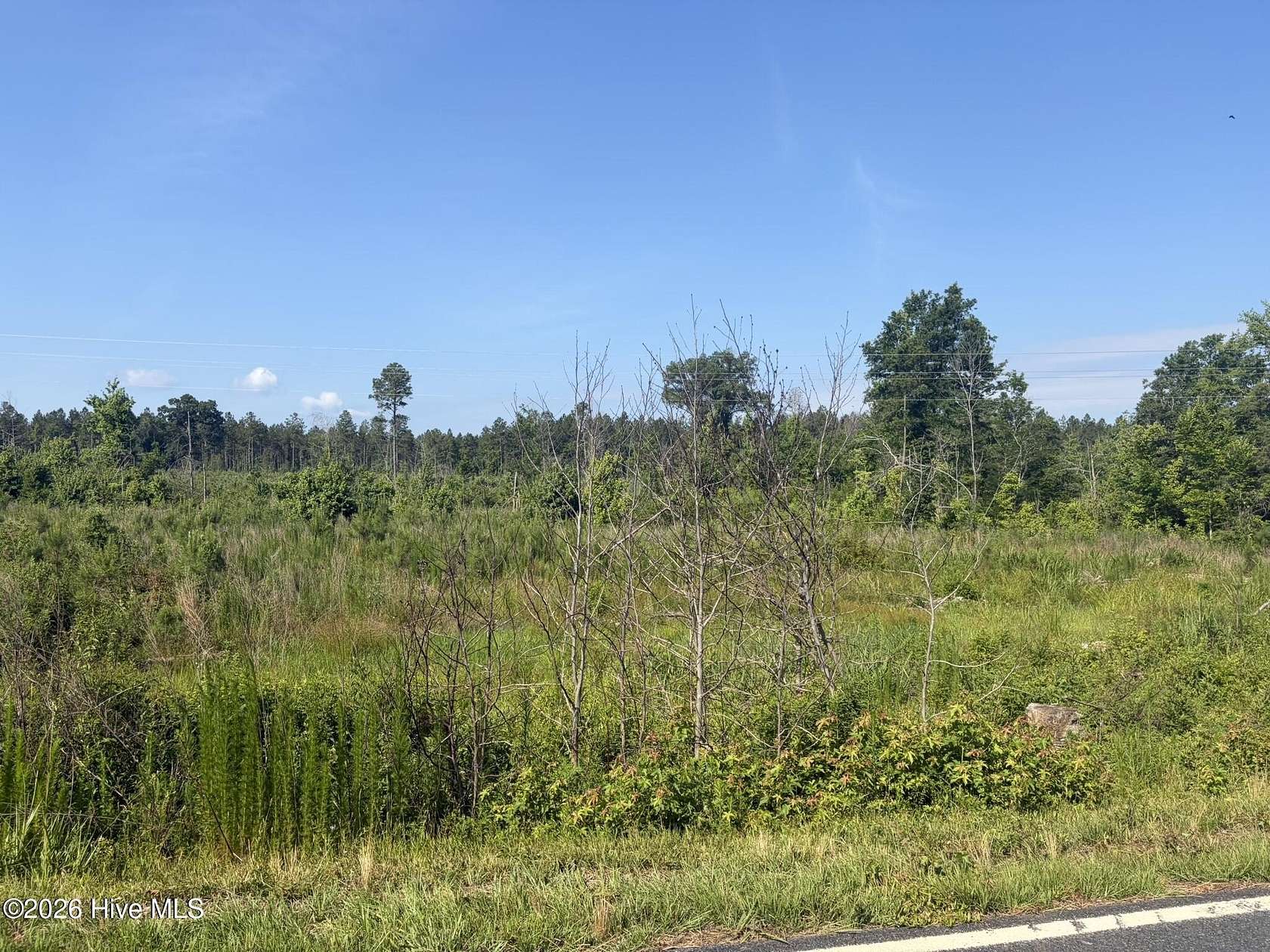 213 Acres of Recreational Land for Sale in Ellerbe, North Carolina