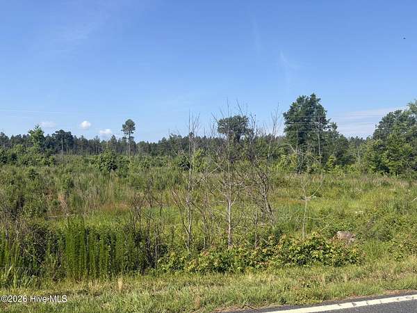 213 Acres of Recreational Land for Sale in Ellerbe, North Carolina