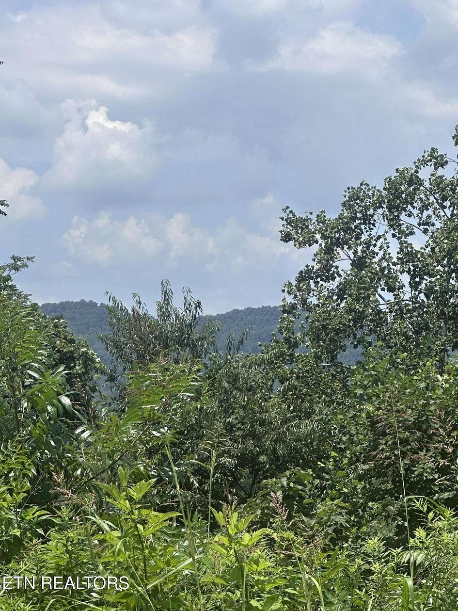1 Acre of Residential Land for Sale in Dandridge, Tennessee