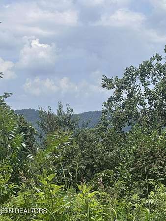 1 Acre of Residential Land for Sale in Dandridge, Tennessee