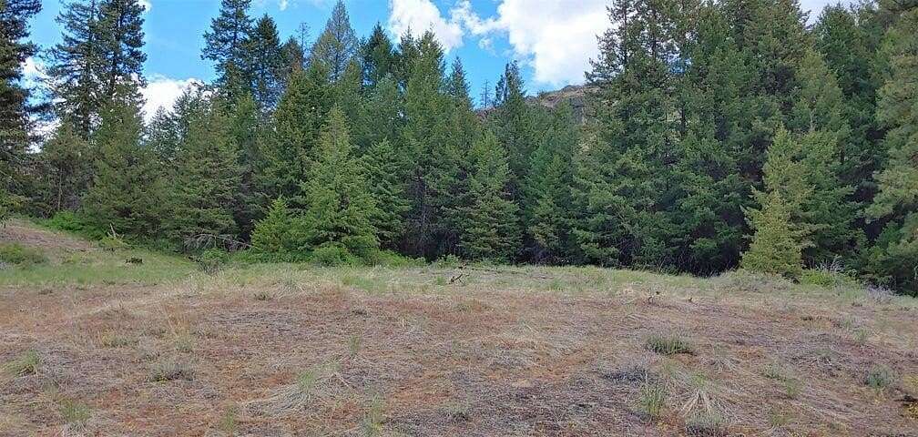 10 Acres of Residential Land for Sale in Republic, Washington