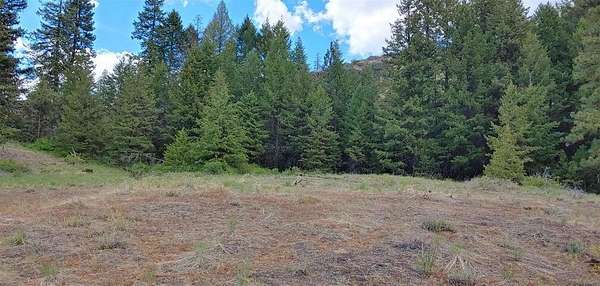10 Acres of Residential Land for Sale in Republic, Washington