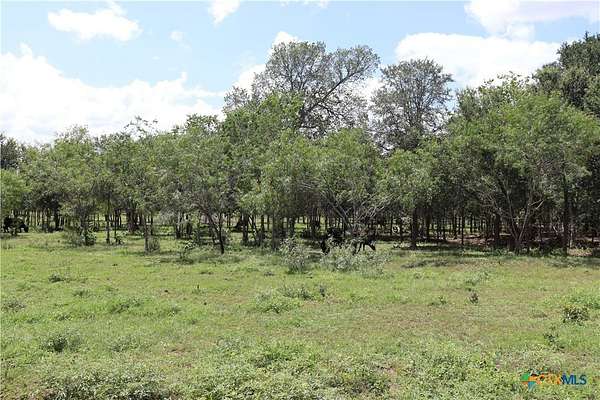 30.7 Acres of Land for Sale in Lockhart, Texas