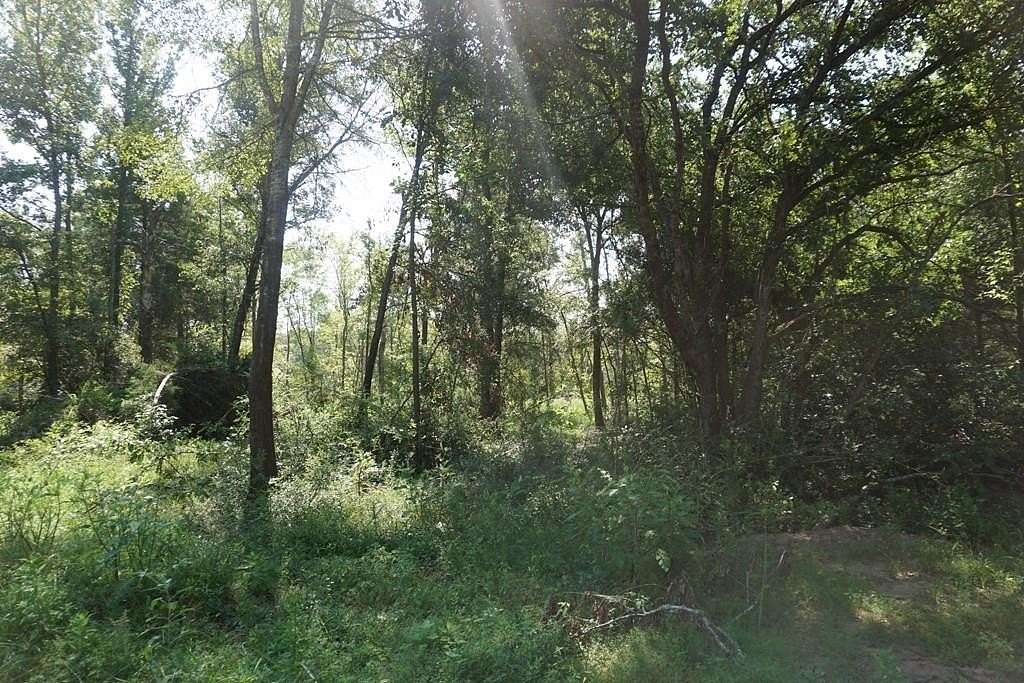 17 Acres of Recreational Land for Sale in Oakwood, Texas