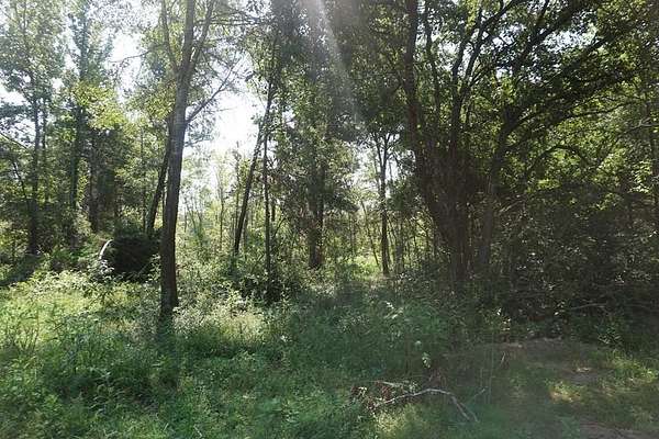 17 Acres of Recreational Land for Sale in Oakwood, Texas