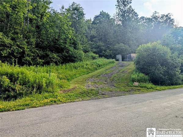 5.5 Acres of Residential Land for Sale in Kennedy, New York