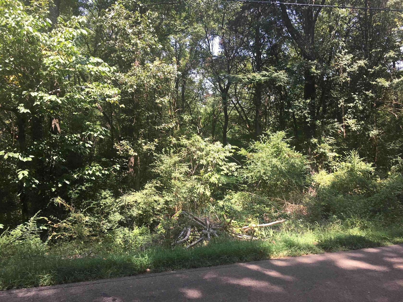 2.65 Acres of Residential Land for Sale in Lakeland, Tennessee