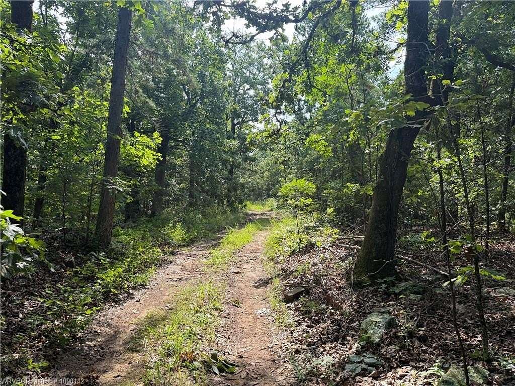 120 Acres of Recreational Land for Sale in Talihina, Oklahoma