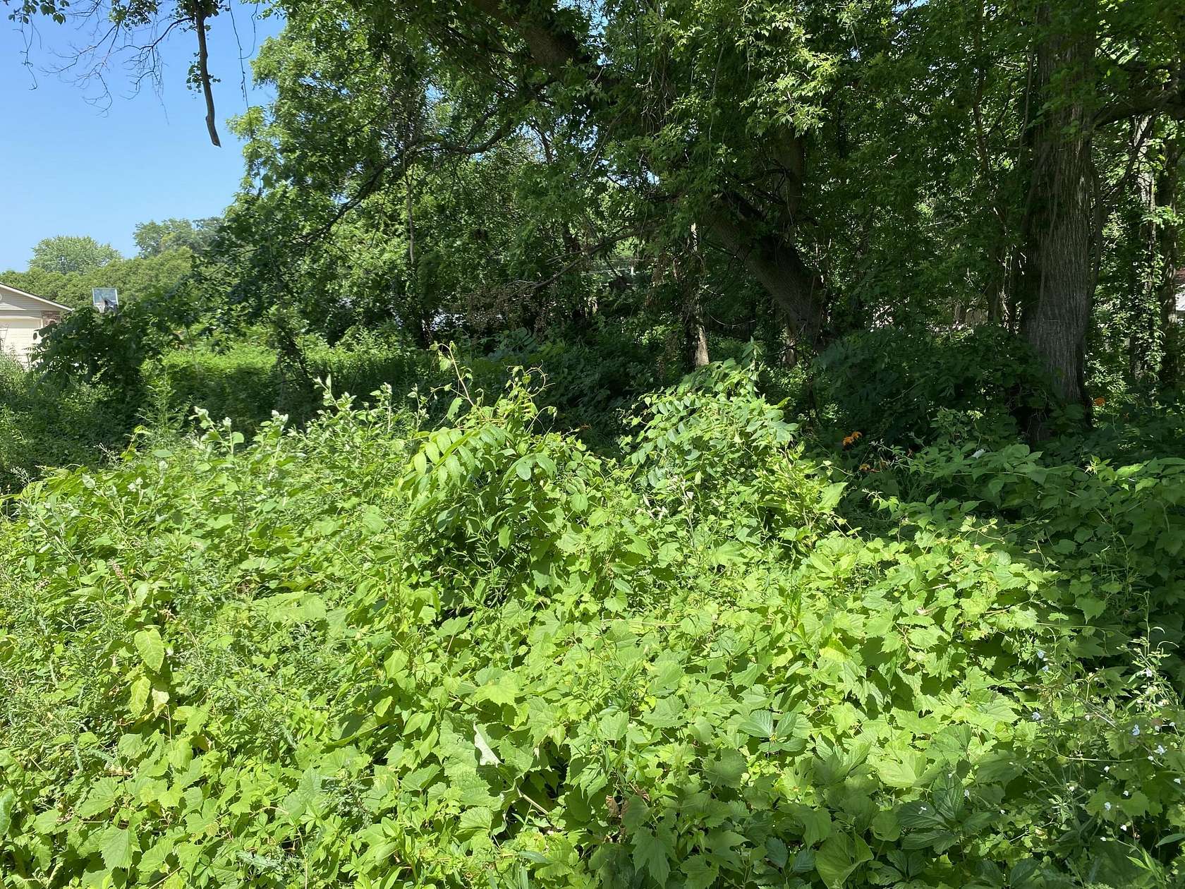 0.54 Acres of Land for Sale in Edwardsburg, Michigan