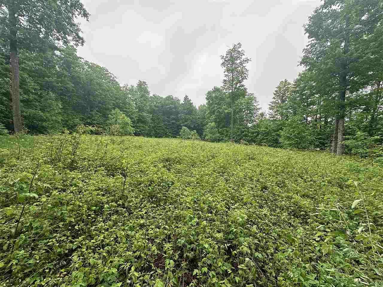 6.67 Acres of Land for Sale in Elmira, Michigan