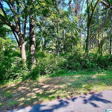 1 Acre of Residential Land for Sale in Gardendale, Alabama