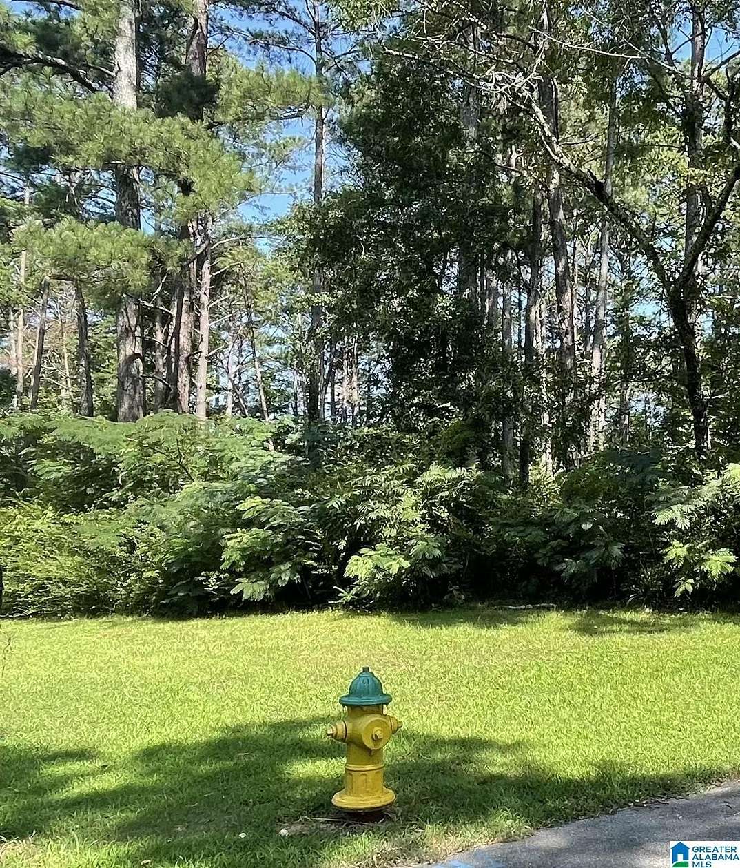 0.52 Acres of Residential Land for Sale in Gardendale, Alabama