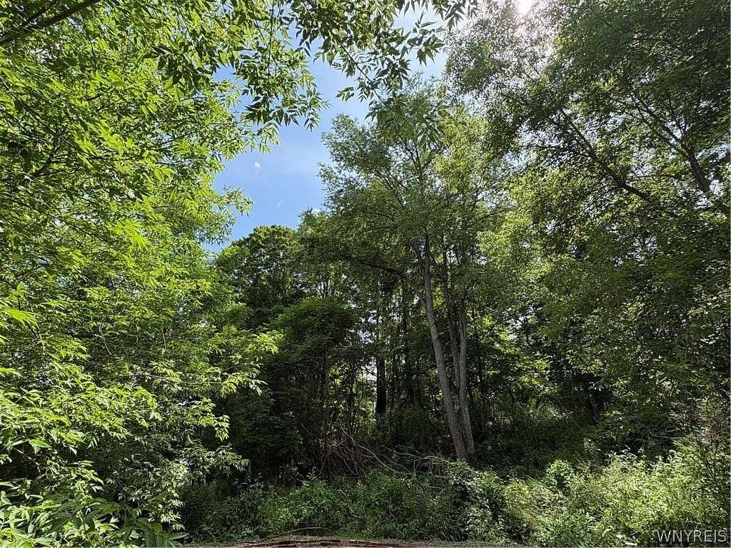 0.73 Acres of Land for Sale in Portageville, New York