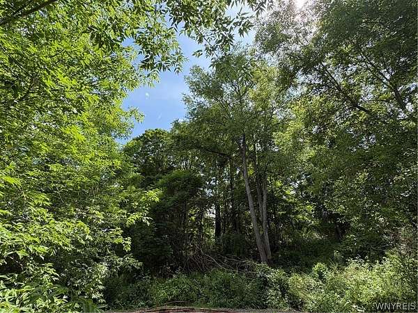 0.73 Acres of Land for Sale in Portageville, New York