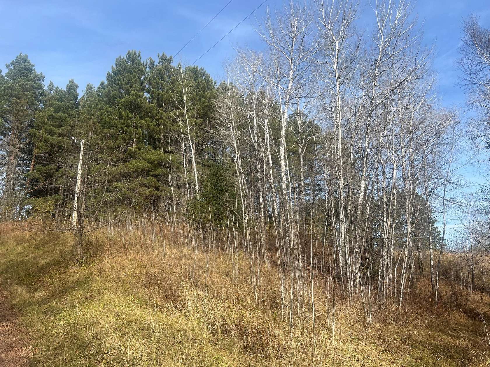 40 Acres of Recreational & Residential Land for Sale in Saginaw, Minnesota