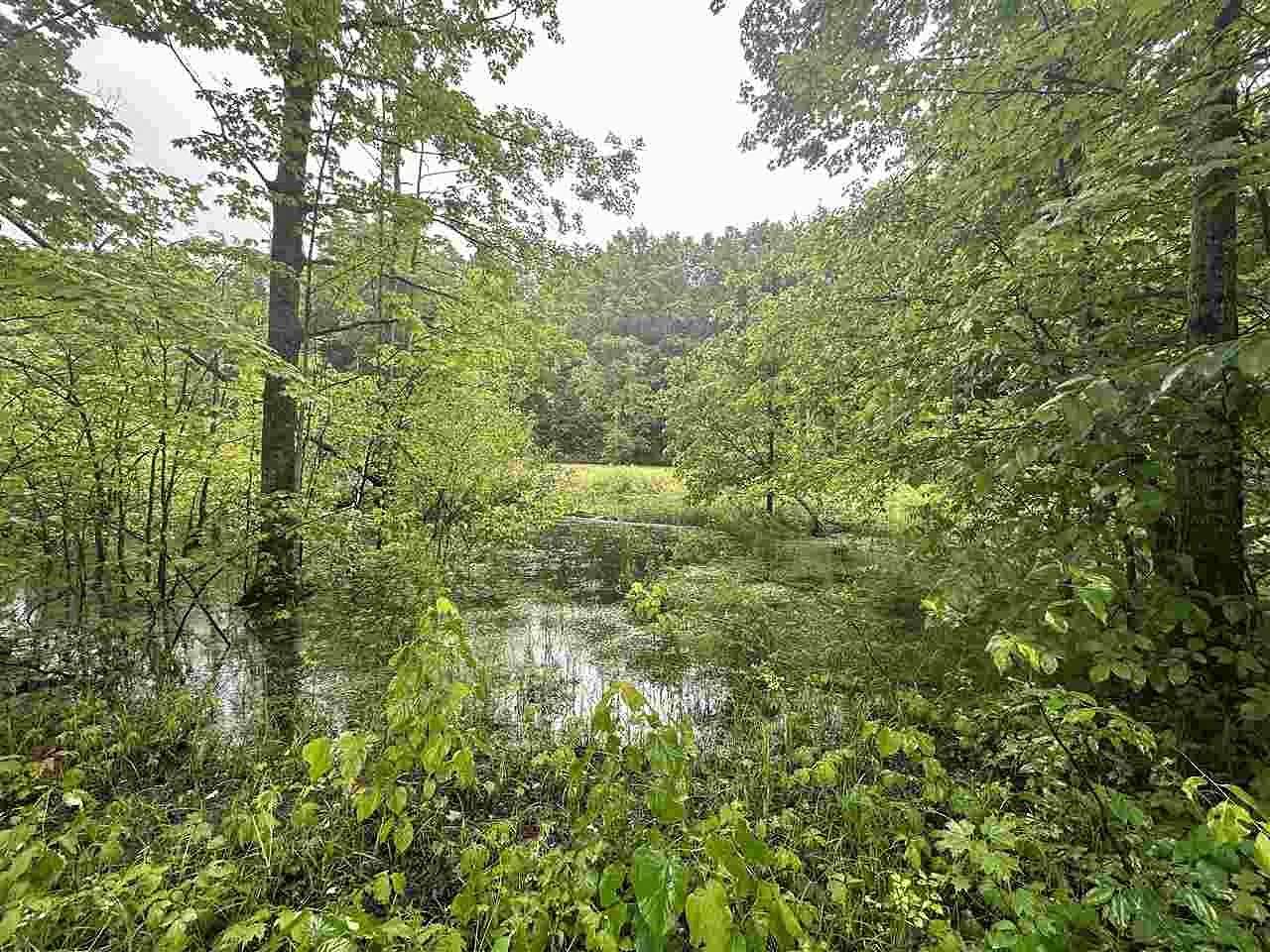 6.67 Acres of Residential Land for Sale in Elmira, Michigan