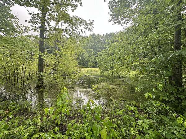 6.67 Acres of Land for Sale in Elmira, Michigan