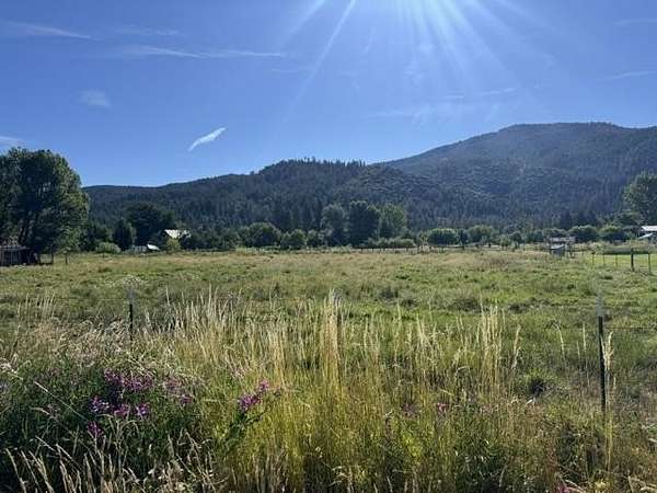 1.65 Acres of Residential Land for Sale in Taylorsville, California