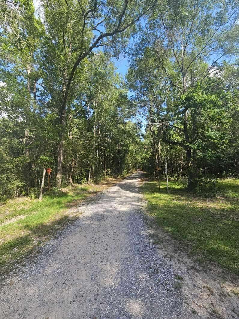37 Acres of Land for Sale in Kountze, Texas