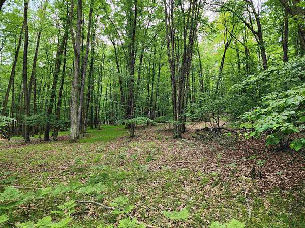 1.5 Acres of Residential Land for Sale in Farwell, Michigan