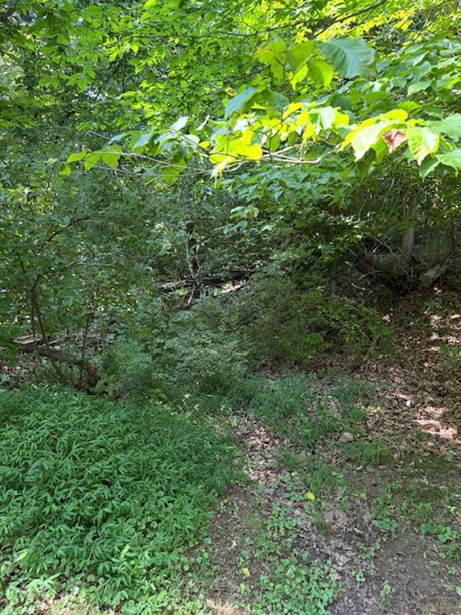2.58 Acres of Residential Land for Sale in Barboursville, West Virginia