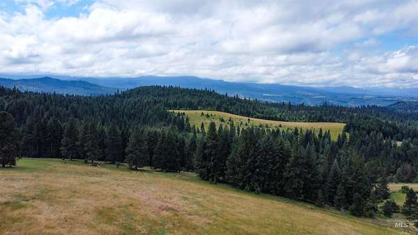 10 Acres of Residential Land for Sale in Kooskia, Idaho
