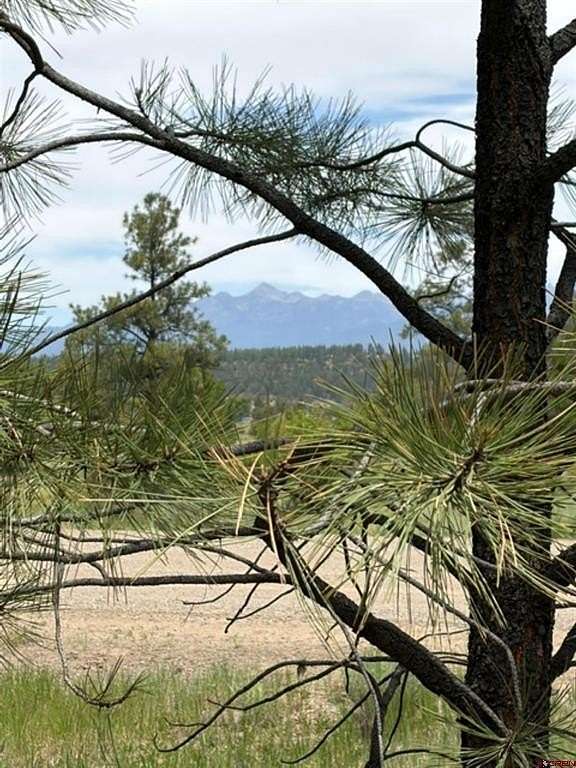 7 Acres of Land for Sale in Pagosa Springs, Colorado