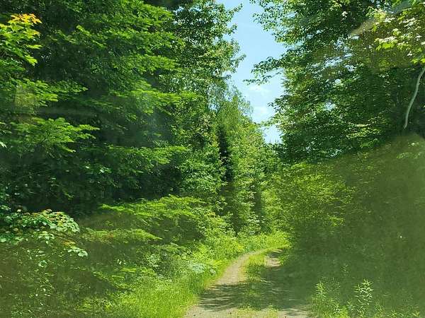 182 Acres of Recreational & Residential Land for Sale in Burnham, Maine