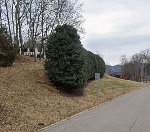 0.99 Acres of Residential Land for Sale in Brentwood, Tennessee