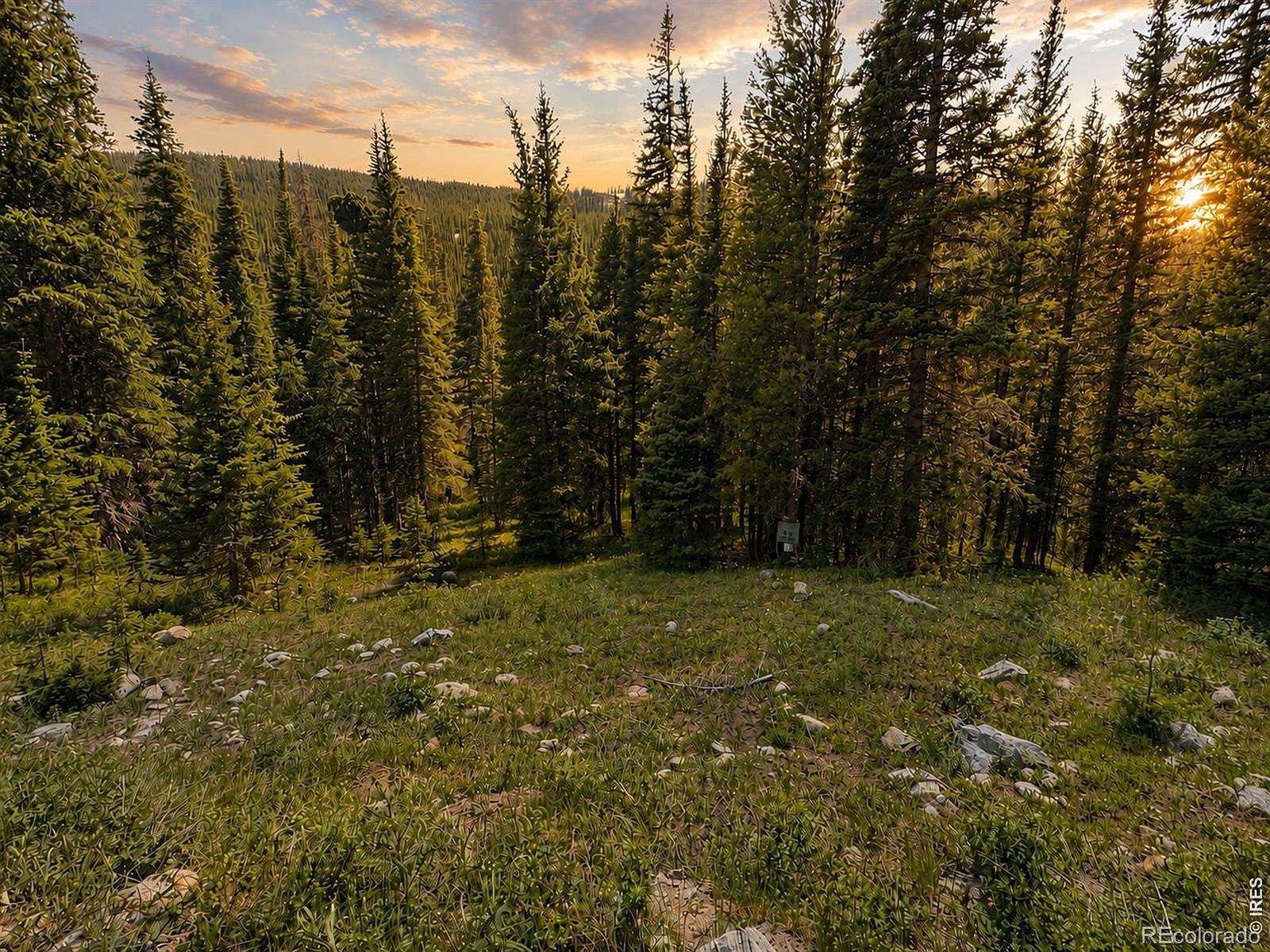 3.86 Acres of Land for Sale in Nederland, Colorado