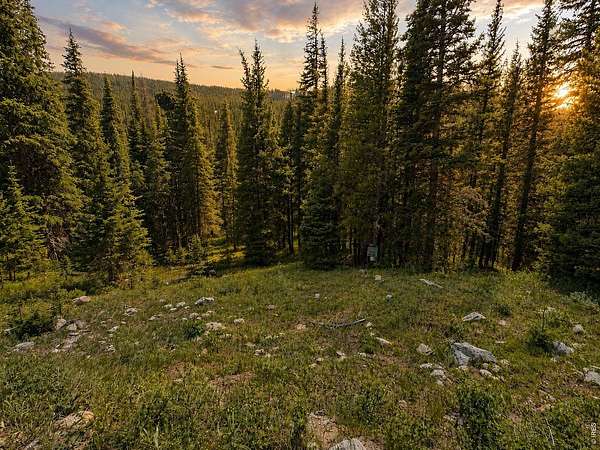 3.86 Acres of Land for Sale in Nederland, Colorado