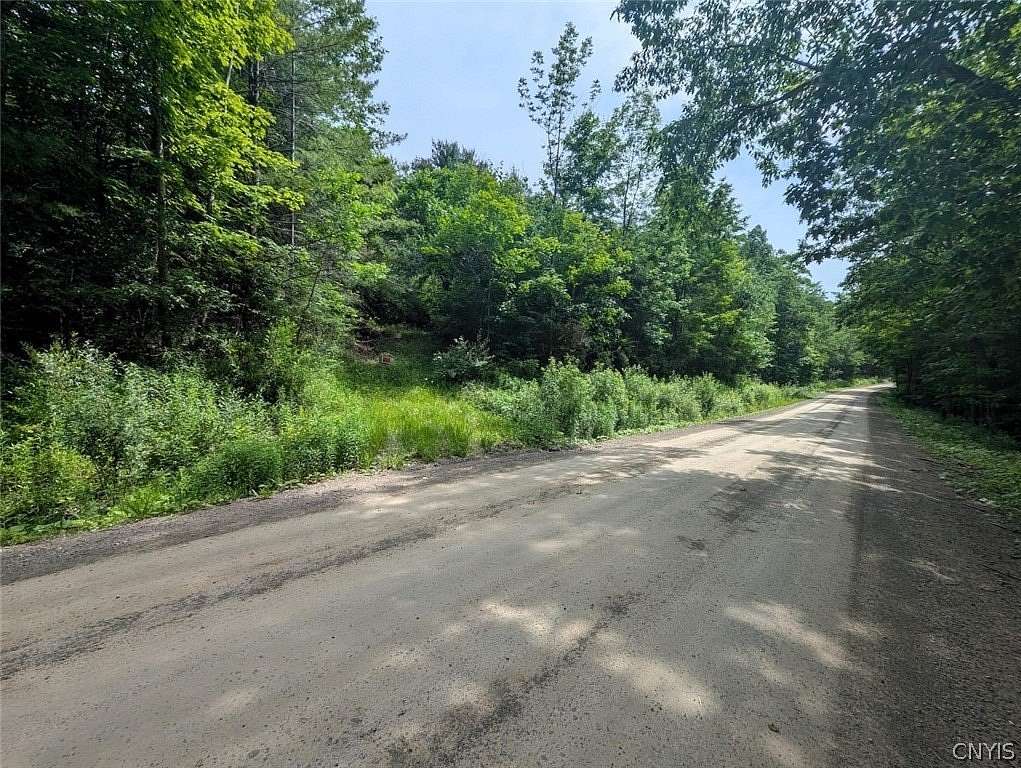 12.4 Acres of Recreational Land for Sale in Dansville, New York