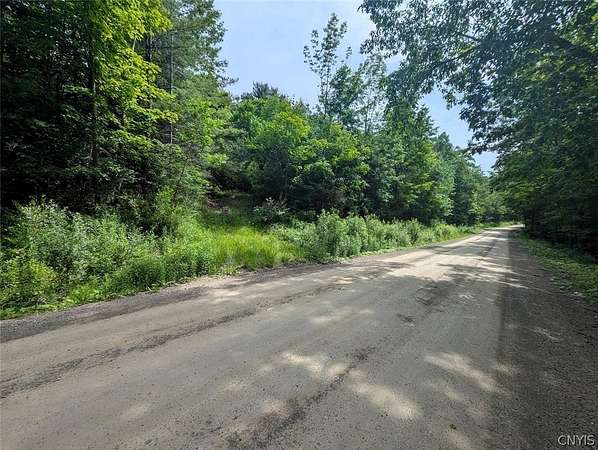 12.4 Acres of Recreational Land for Sale in Dansville, New York