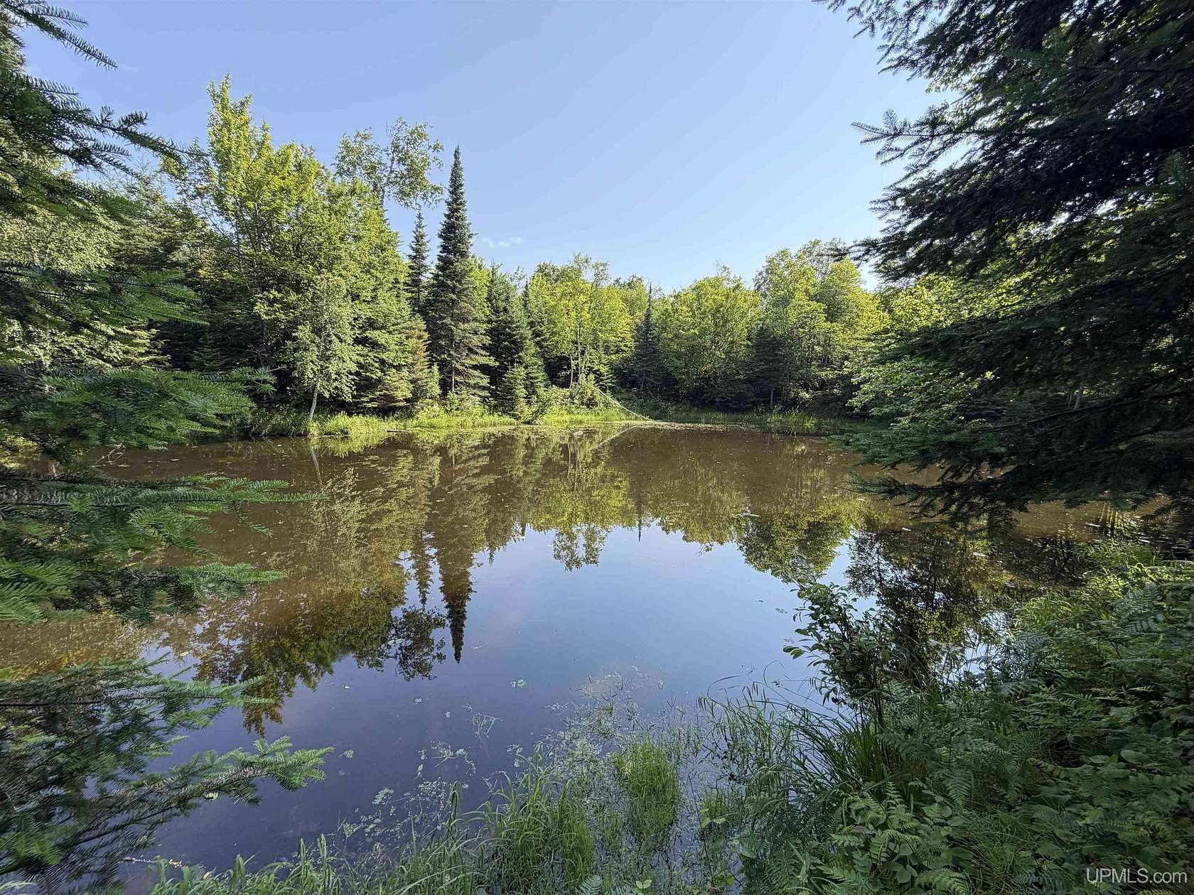 5 Acres of Recreational Land for Sale in Pelkie, Michigan