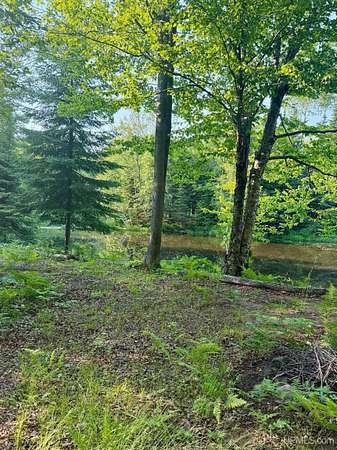 5 Acres of Residential Land for Sale in Pelkie, Michigan