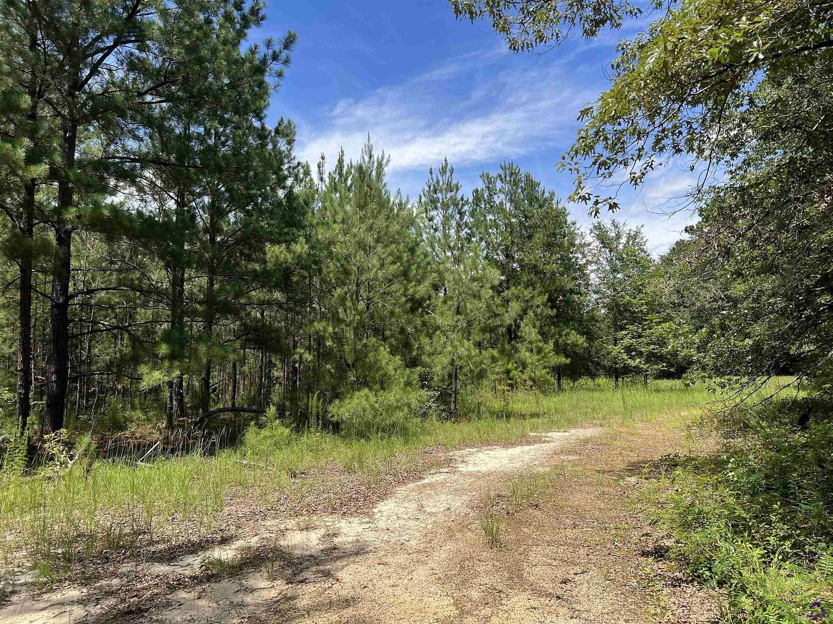 1.3 Acres of Residential Land for Sale in Cochran, Georgia
