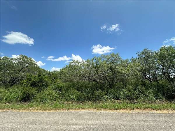2 Acres of Mixed-Use Land for Sale in Skidmore, Texas