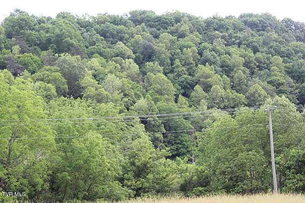 198 Acres of Recreational Land for Sale in Fort Blackmore, Virginia