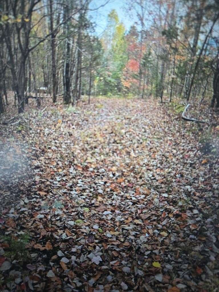 29.7 Acres of Land for Sale in Livingston, Tennessee
