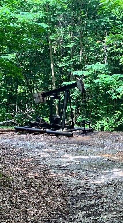 29.7 Acres of Land for Sale in Livingston, Tennessee