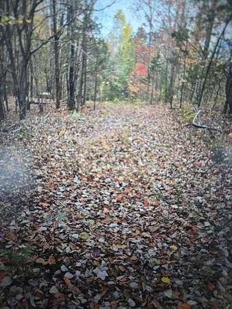 29.7 Acres of Land for Sale in Livingston, Tennessee
