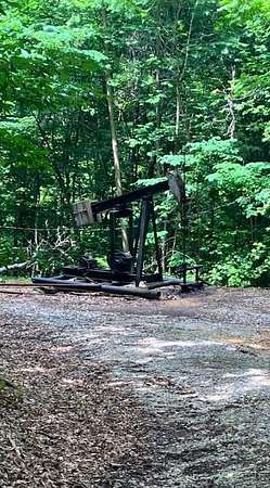 29.7 Acres of Land for Sale in Livingston, Tennessee